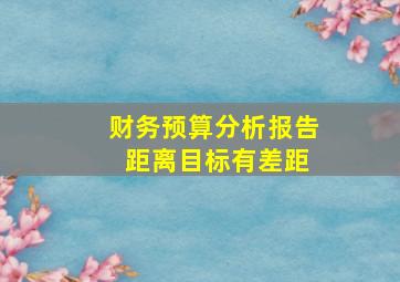 财务预算分析报告 距离目标有差距